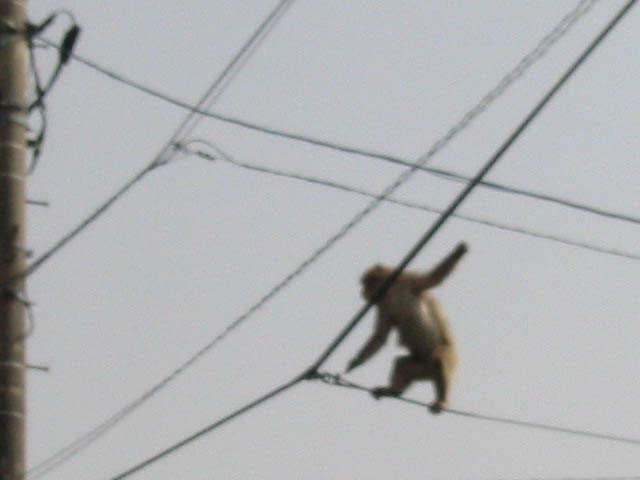 d0094868_1050401.jpg