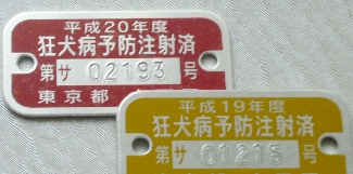 b0069169_16192310.jpg