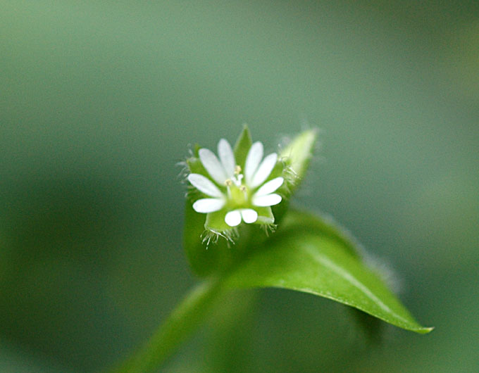 b0057679_8581679.jpg