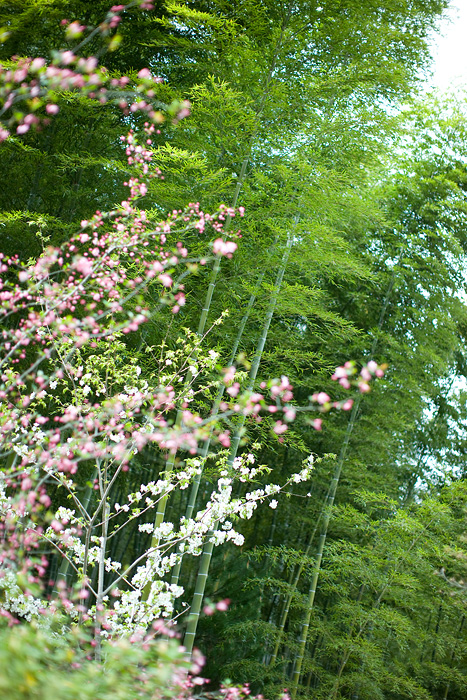 d0089281_11342755.jpg