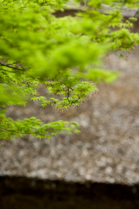 d0089281_120153.jpg