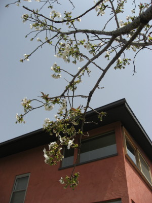 c0105786_17591448.jpg