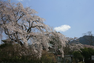 b0062793_16422980.jpg