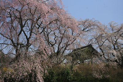 b0062793_164237.jpg