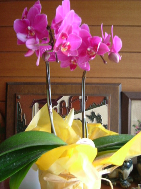 b0044296_949713.jpg