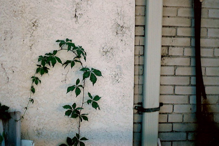 b0088205_1504443.jpg