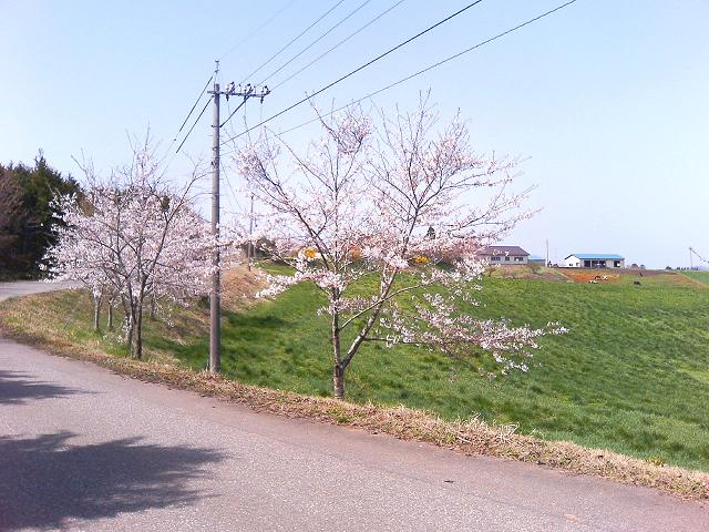 a0072808_5521976.jpg