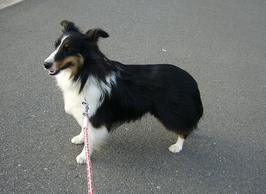 e0130008_20555559.jpg
