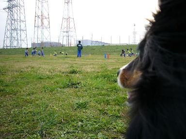 e0130008_2104060.jpg