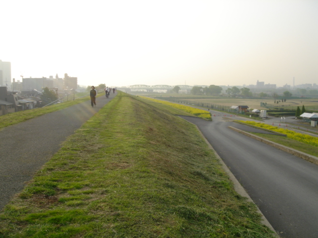 a0063416_845947.jpg