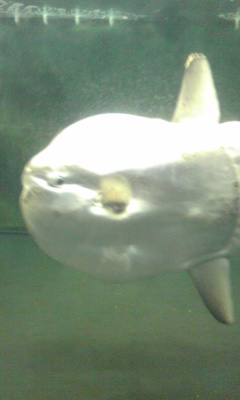 d0010216_0523033.jpg