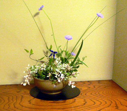 f0060424_1365643.jpg