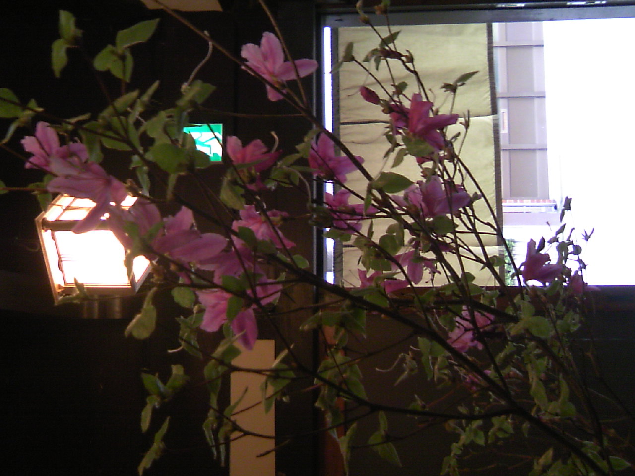 d0009828_1012189.jpg