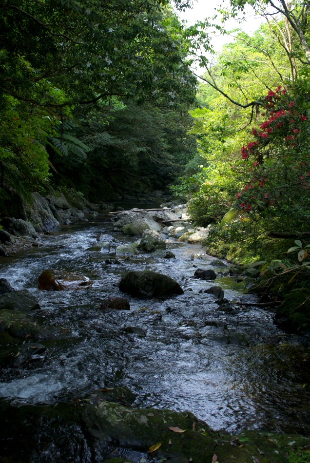 d0053930_636635.jpg