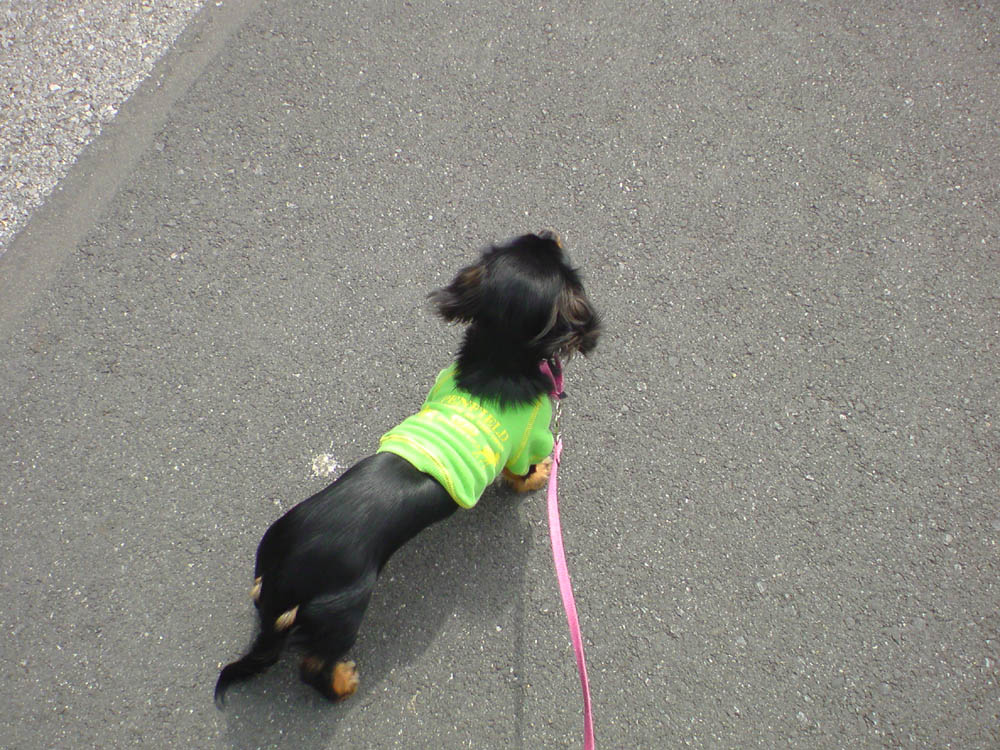 c0117831_21334127.jpg