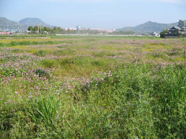 e0129831_16194418.jpg