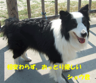 f0008935_17214817.gif