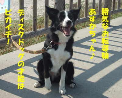 f0008935_17251771.gif