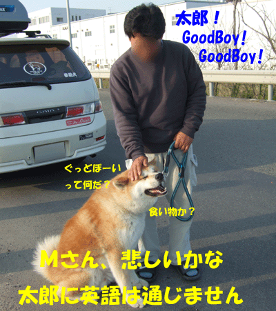 f0008935_17374873.gif