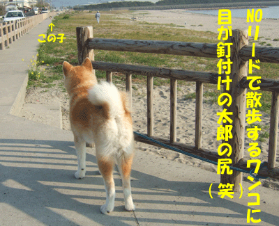 f0008935_1737539.gif
