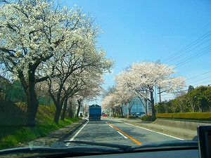 f0065941_22385820.jpg