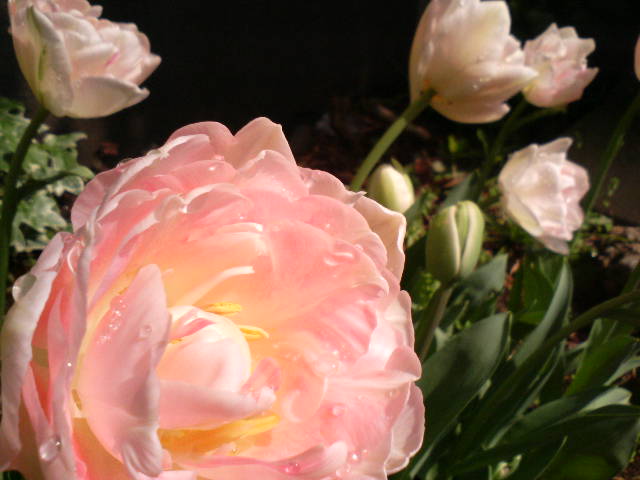 f0127441_2085310.jpg