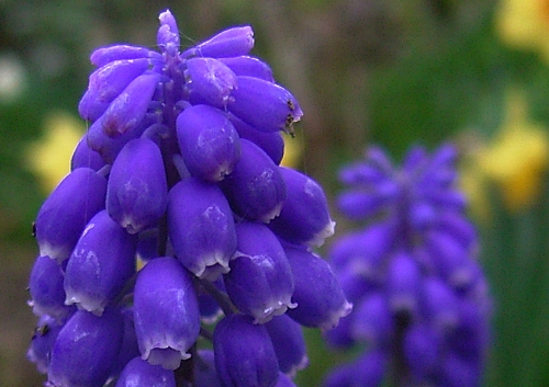 c0072843_7372231.jpg