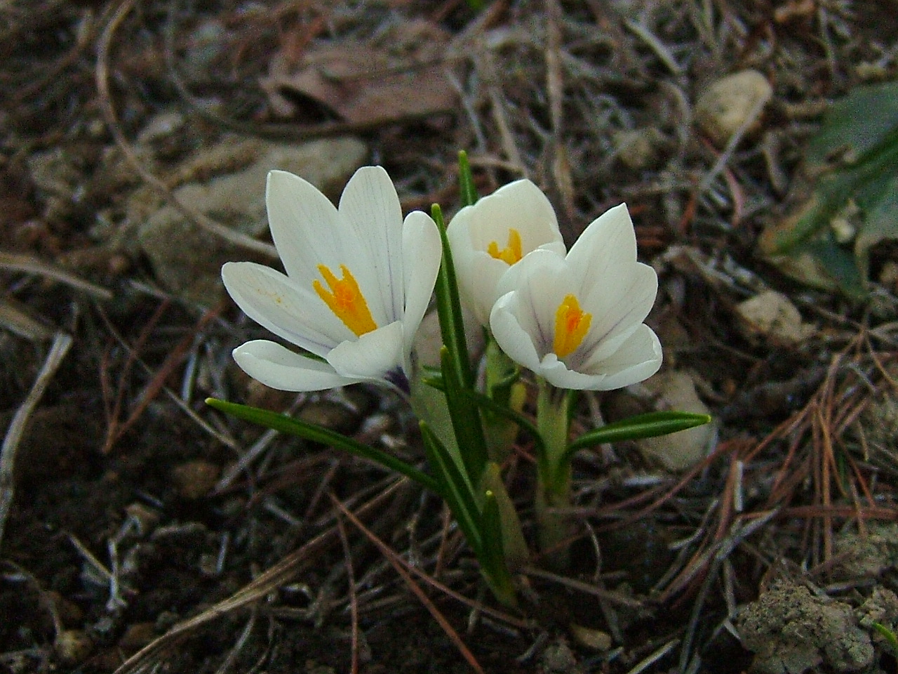 b0126344_0335828.jpg