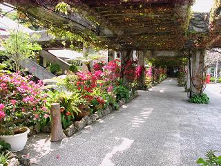 d0047944_1520291.jpg