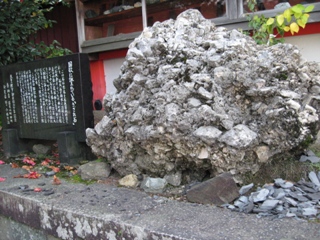 e0138350_2149826.jpg