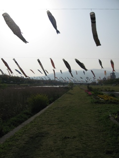e0138350_21565418.jpg
