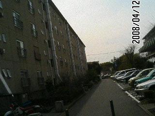 f0087256_21283928.jpg