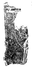 e0018762_9492298.jpg