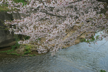 c0117570_15233457.jpg