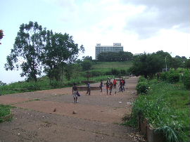 e0145676_59062.jpg