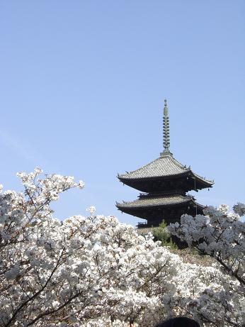 f0116278_185218.jpg