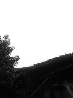 f0100480_1941572.jpg