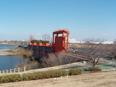 c0105785_8465679.jpg