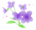 e0026586_1503918.gif