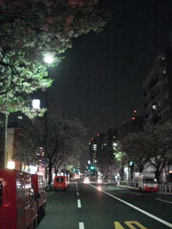 e0141290_0132128.jpg