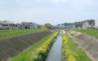 e0111793_22441649.jpg
