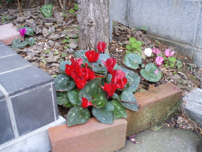 f0130894_2111032.jpg