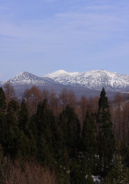 c0118496_20414771.jpg