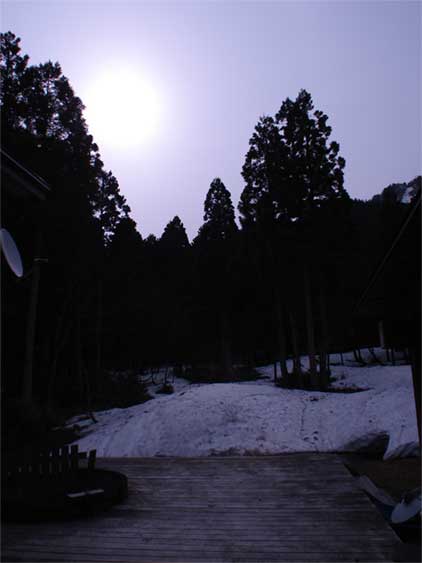 a0061599_861975.jpg
