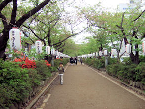 b0087400_0103293.jpg