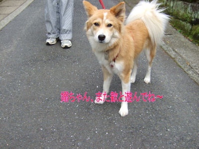 b0087400_0313812.jpg