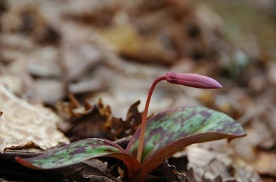 f0157901_1014237.jpg