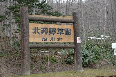f0157901_9593883.jpg