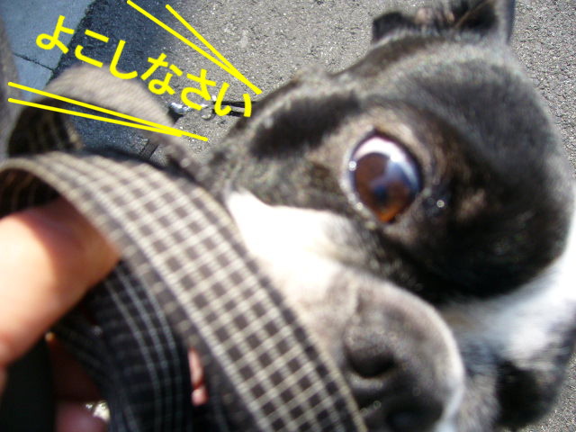 d0070702_0412726.jpg