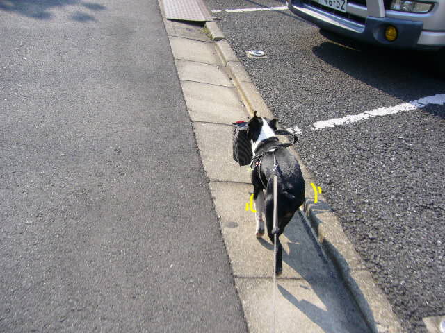 d0070702_0444143.jpg